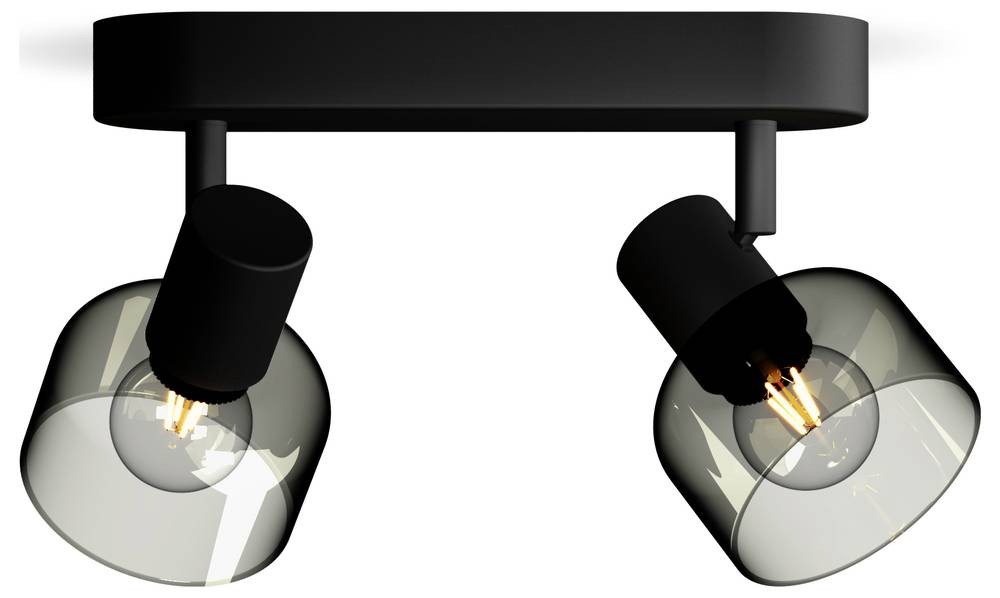 Philips Sleet Ceiling/Wall Spotlight 2x - Philips Sleet Ceiling/Wall