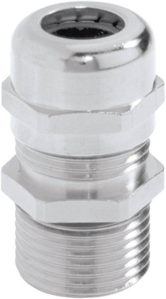 LAPP 53112665 Kabelverschraubung M40 Messing Messing 1 pc(s)
