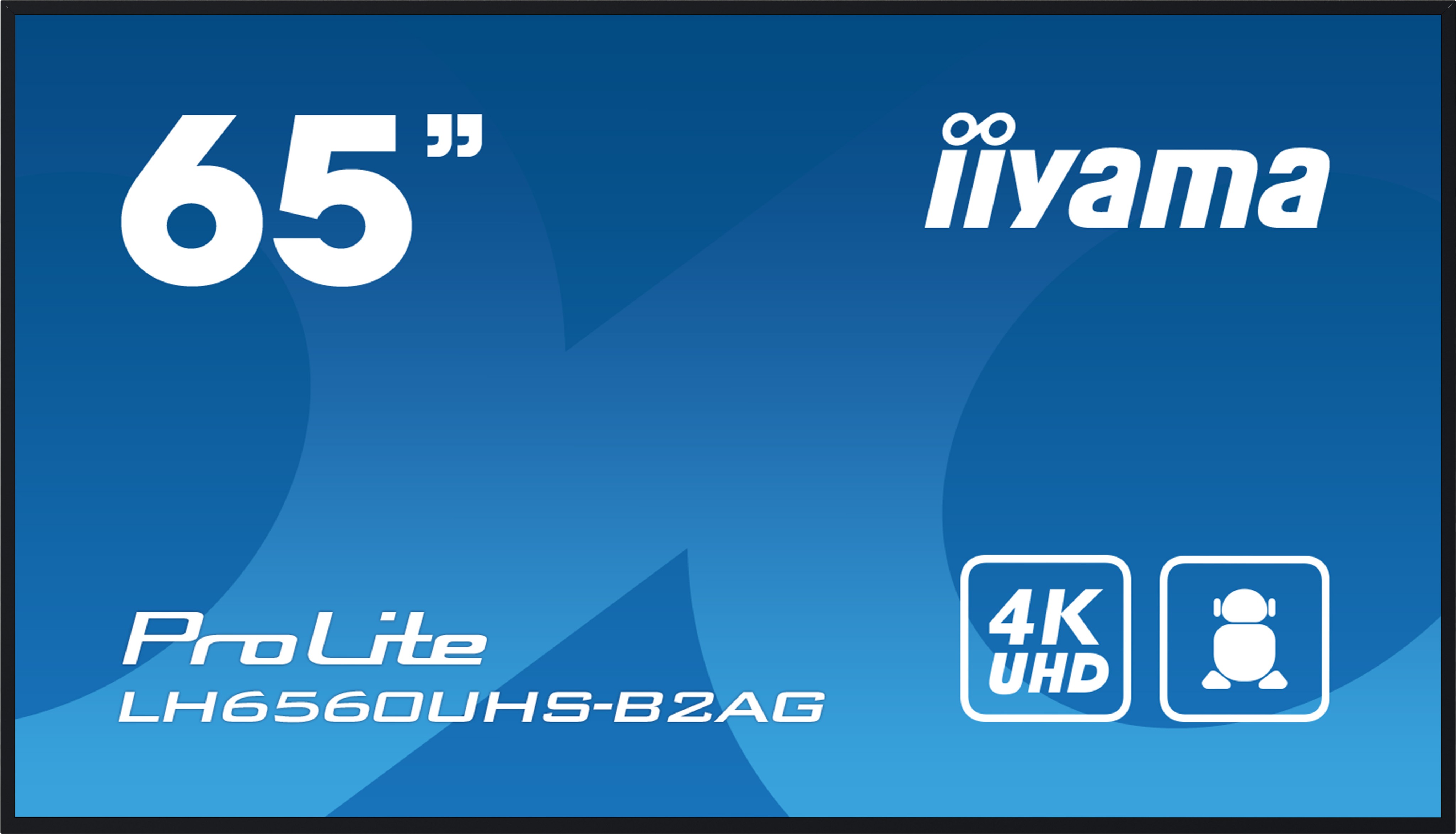 iiyama LH6560UHS-B2AG Signage Display Digital A-board 163.8 cm (64.5")
