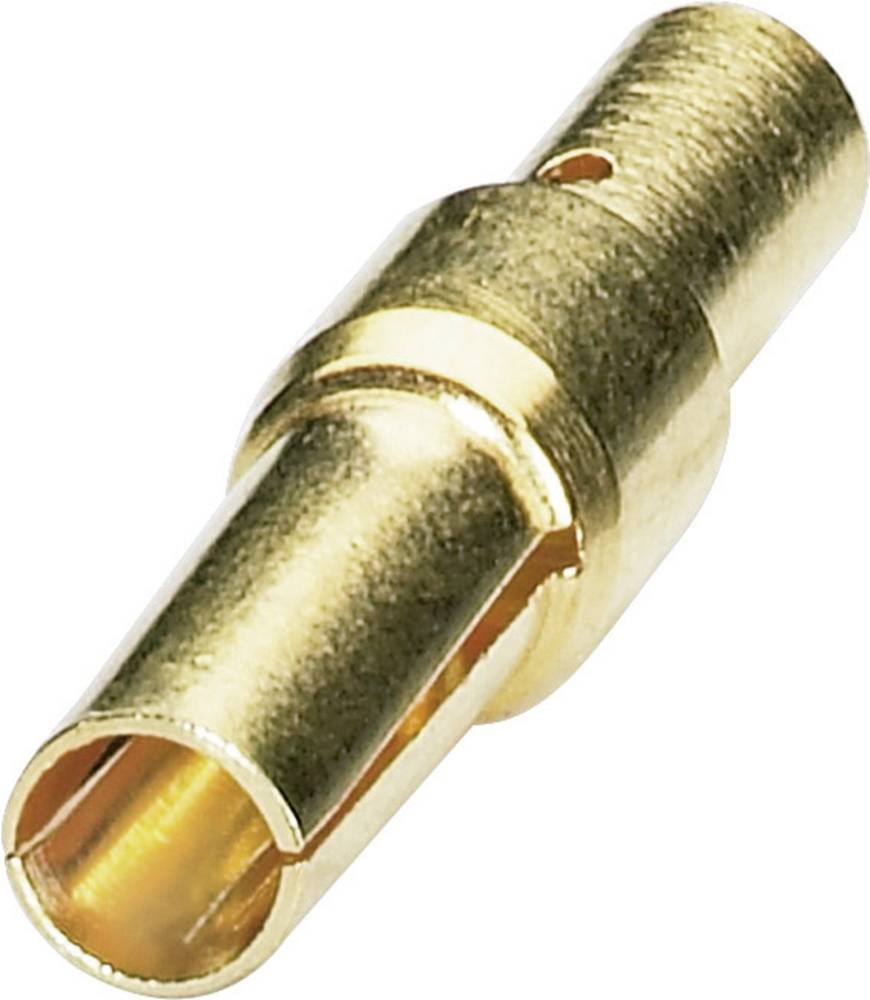 Phoenix Contact 1599600 wire connector Gold - Phoenix Contact 1599600,