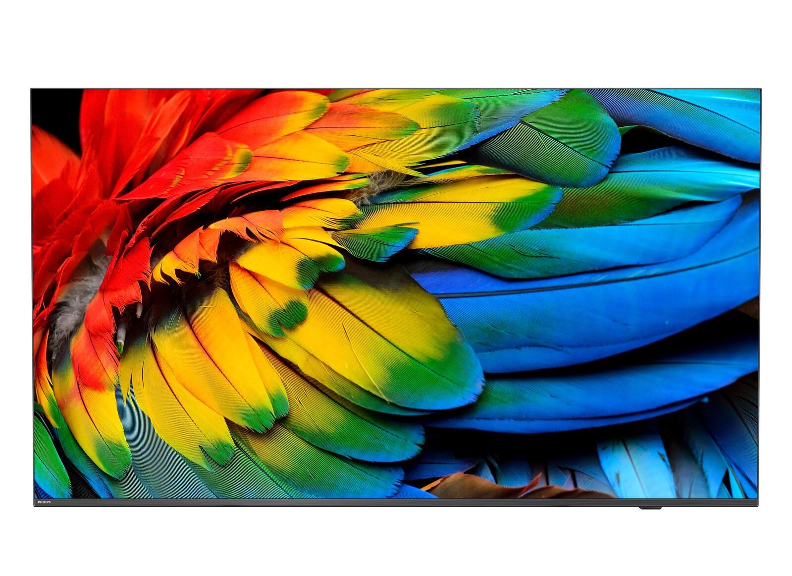 Philips 50HFL6214U 127 cm (50") 4K Ultra HD Smart TV Wi-Fi Anthracite