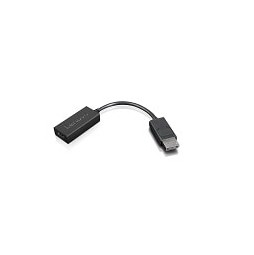 Lenovo 4X90R61023 video cable adapter 0.225 m DisplayPort HDMI Type A