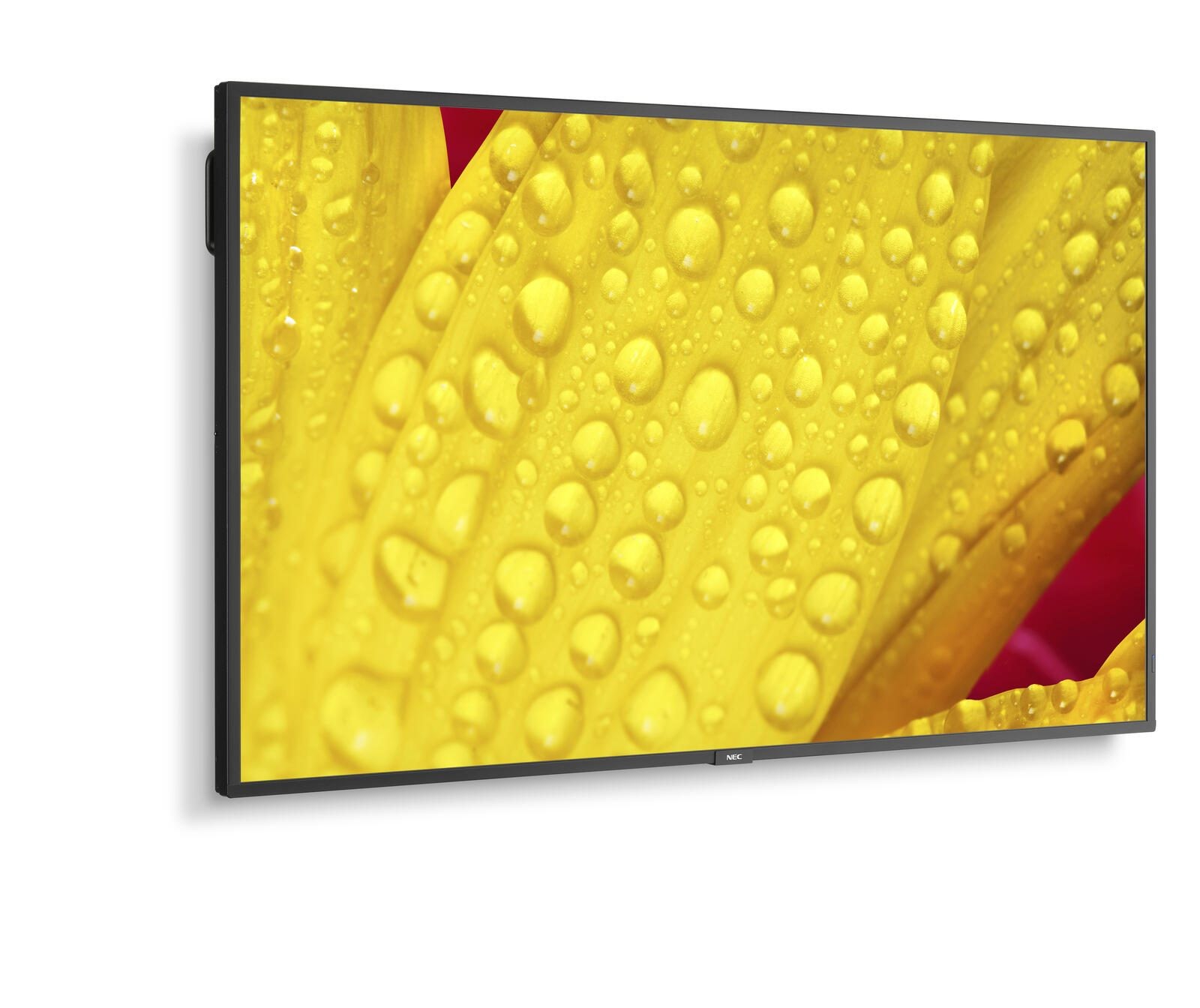 NEC MultiSync M651-2 En forme de kiosk 165,1 cm (65") LED 500 cd/m²