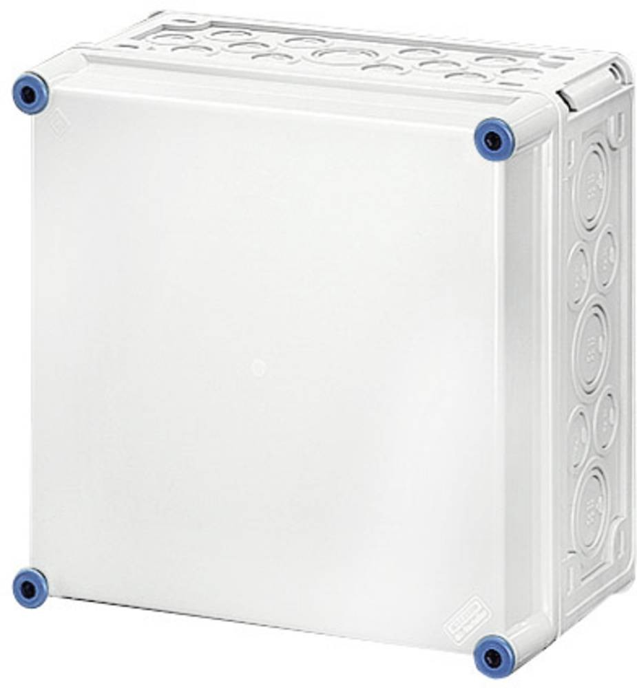 Hensel Mi 0201 Schaltschrank-Leergehäuse 300 x 300 PC Lichtgrau (RAL