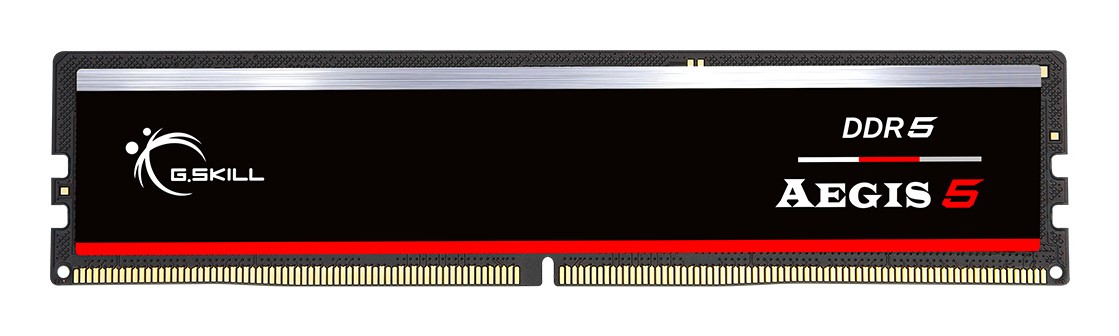 G.Skill Aegis F5-6000J3636F16GX1-IS memory module 16 GB 1 x 16 GB
