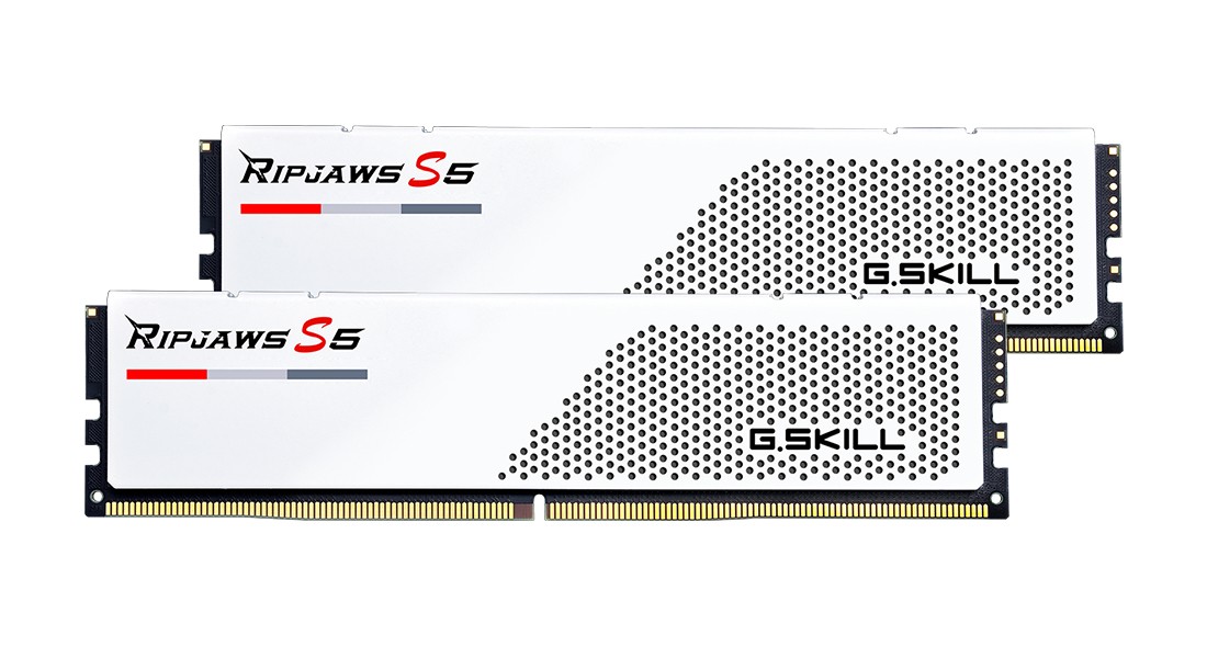 G.Skill F5-6000J3036F24GX2-RS5W memory module 48 GB 2 x 24 GB DDR5