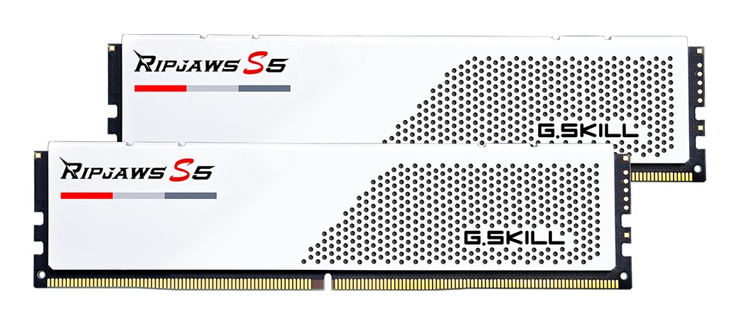 G.Skill Ripjaws S5 F5-6000J3036F48GX2-RS5W memory module 96 GB 2 x 48