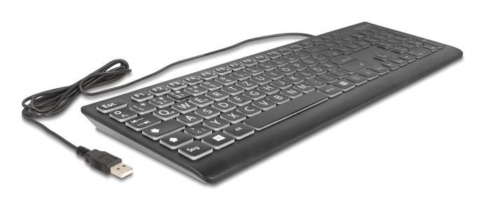 DELOCK USB Tastatur kabelgebunden 1.5m schwarz mit XXL Buchstaben und