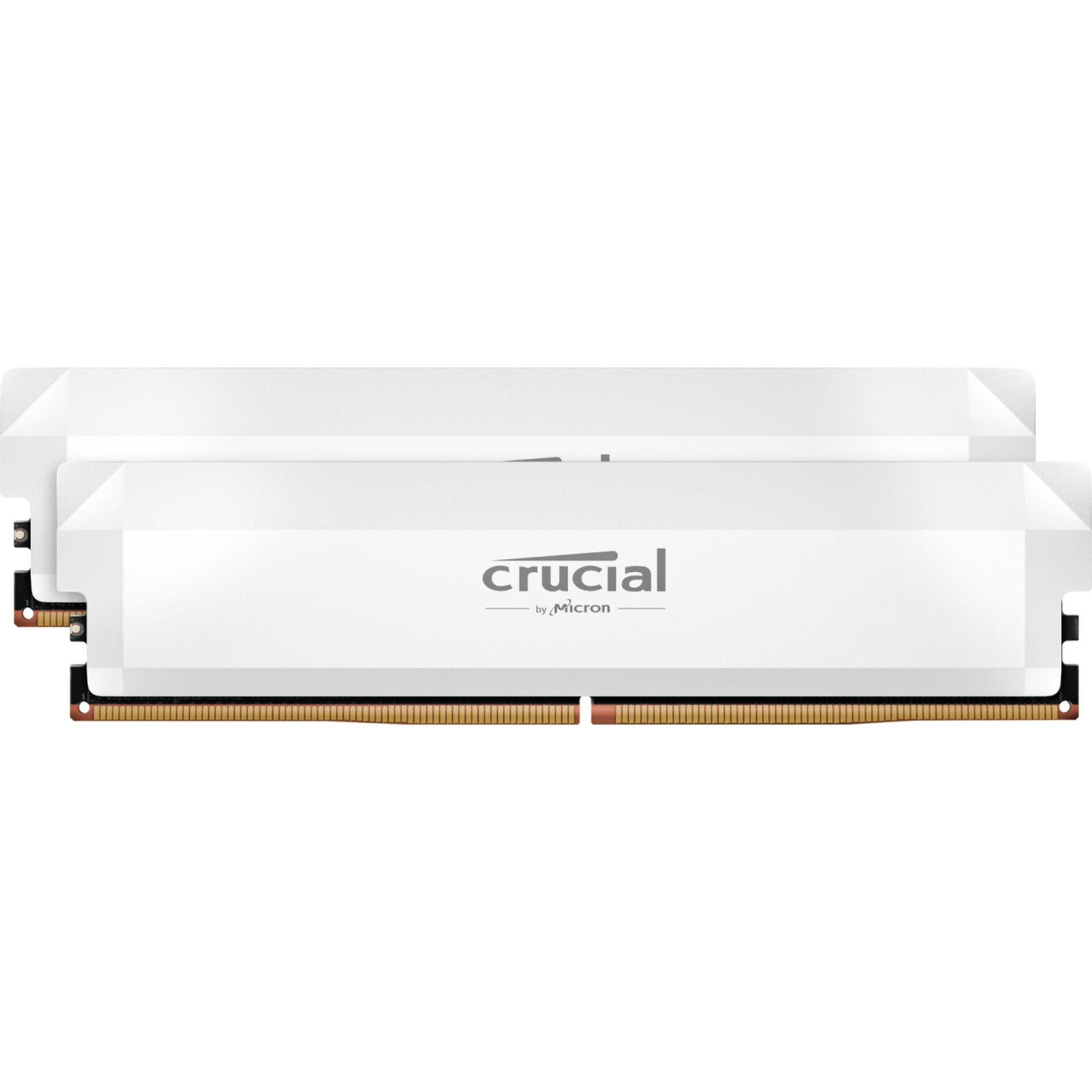 Crucial Pro CP2K32G64C40U5W memoria 64 GB 2 x 32 GB DDR5 288-pin DIMM