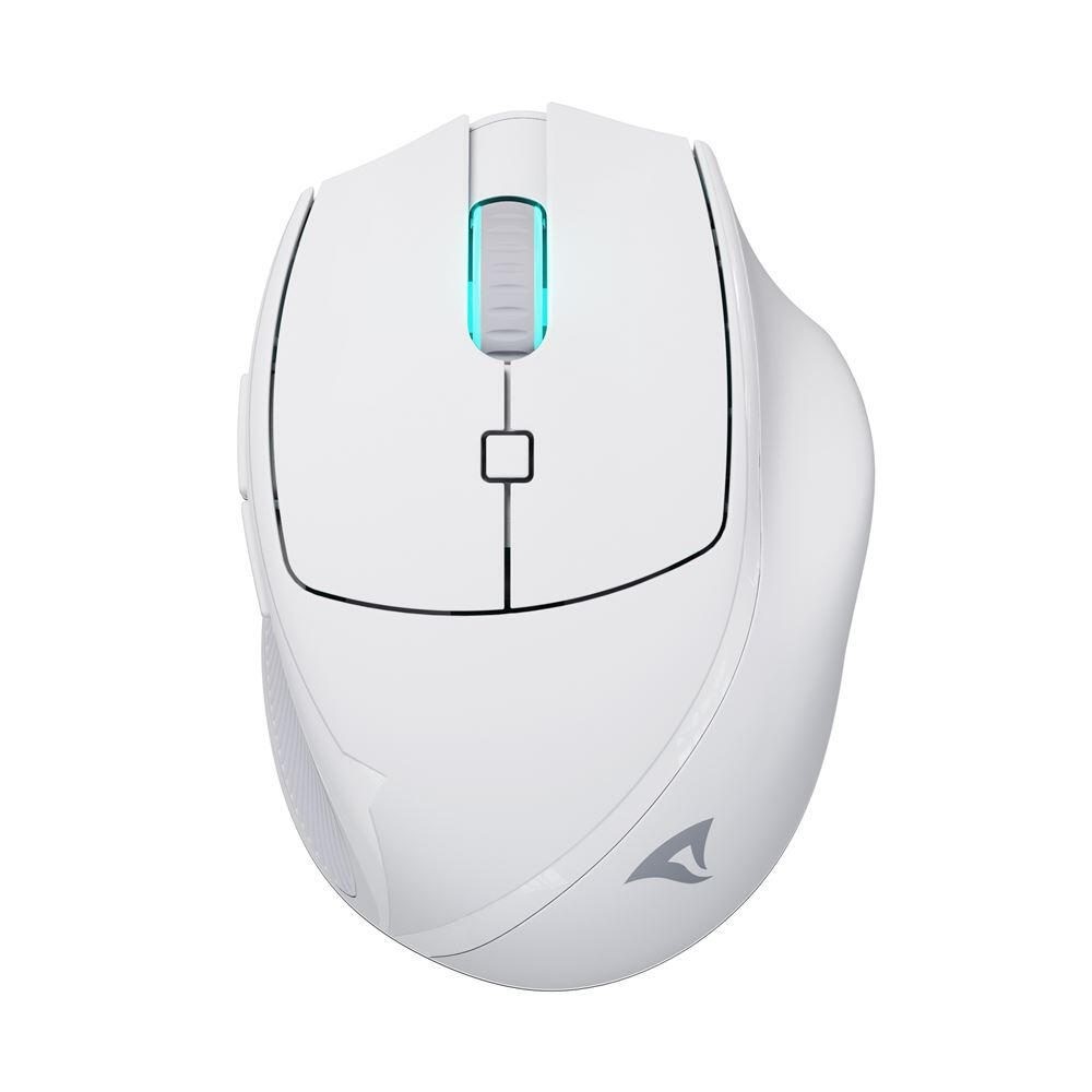 Sharkoon OfficePal M25W mouse Gaming Right-hand RF Wireless + USB