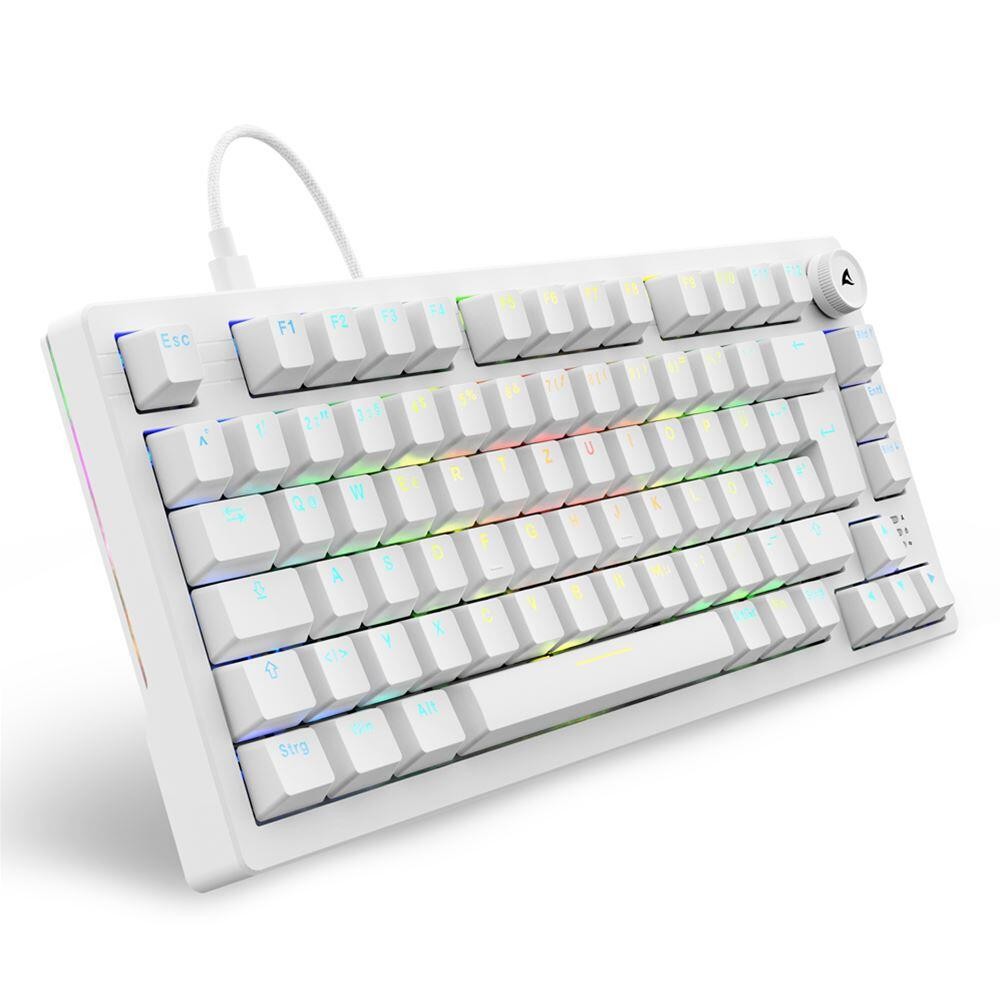 Sharkoon Gaming Tastatur Skiller SGK25 weiß DE