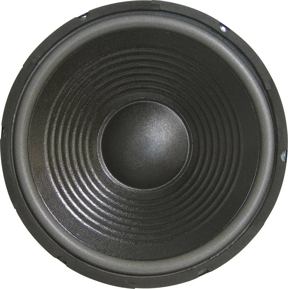 Sintron 203377 30cm PA-Subwoofer 300W 8