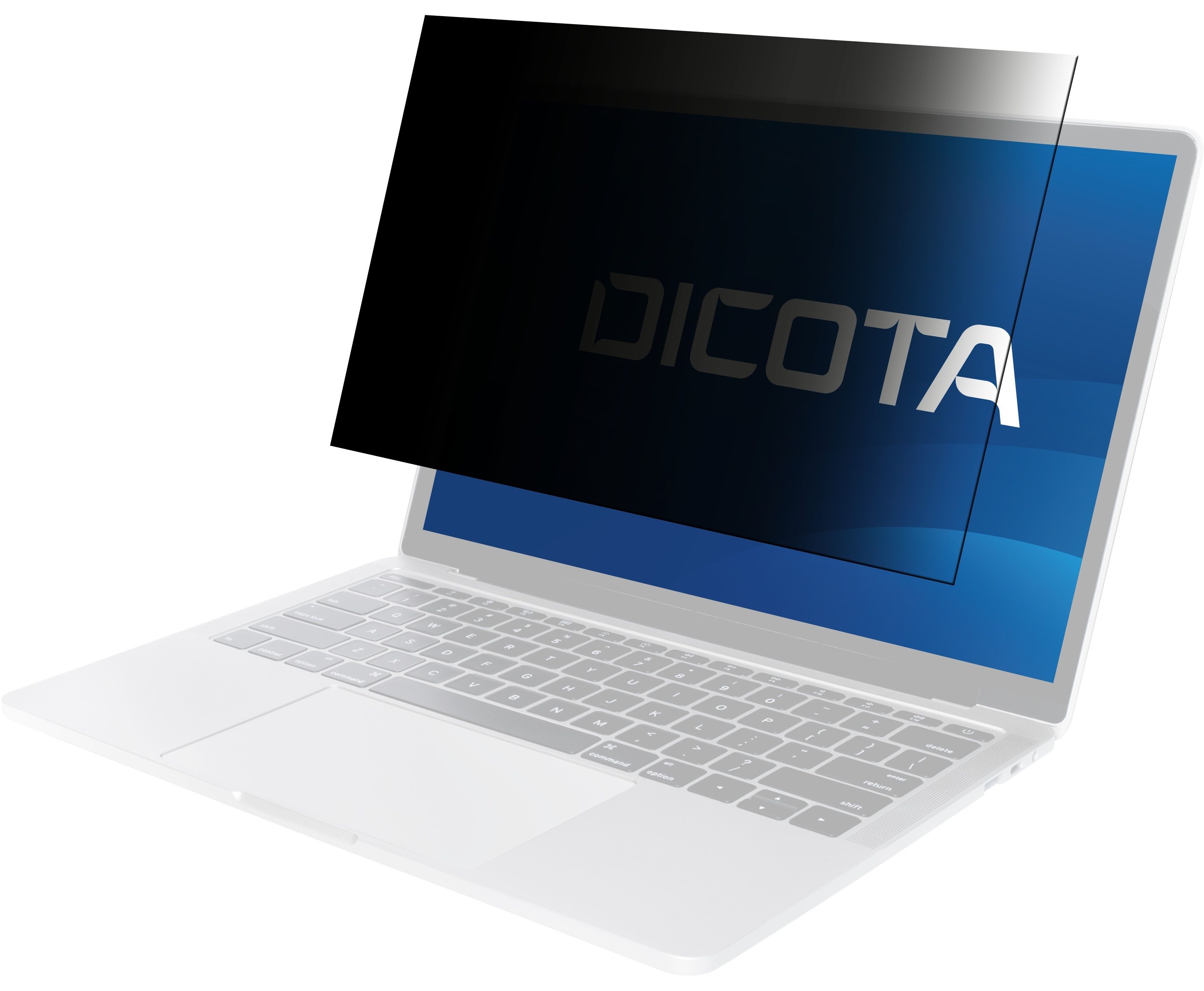 DICOTA D50030-2MG schermo anti-riflesso 43,9 cm (17.3") Netbook