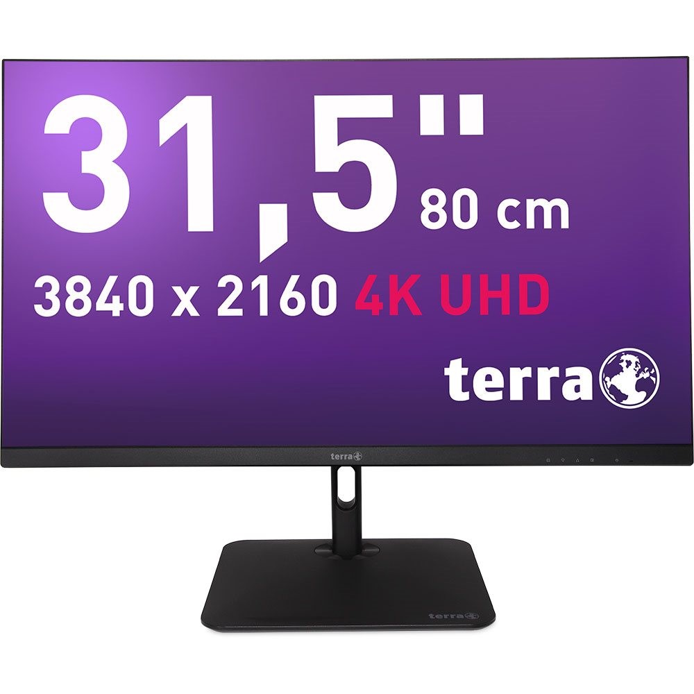 TERRA 3030234 écran plat de PC 80 cm (31.5") 3840 x 2160 pixels 4K