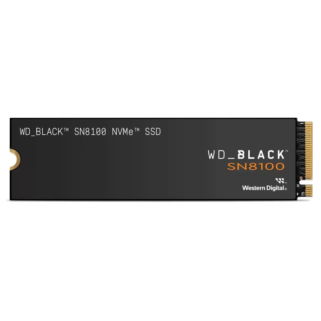 Western Digital Black WD_BLACK SN8100 NVMe SSD POWERED BY