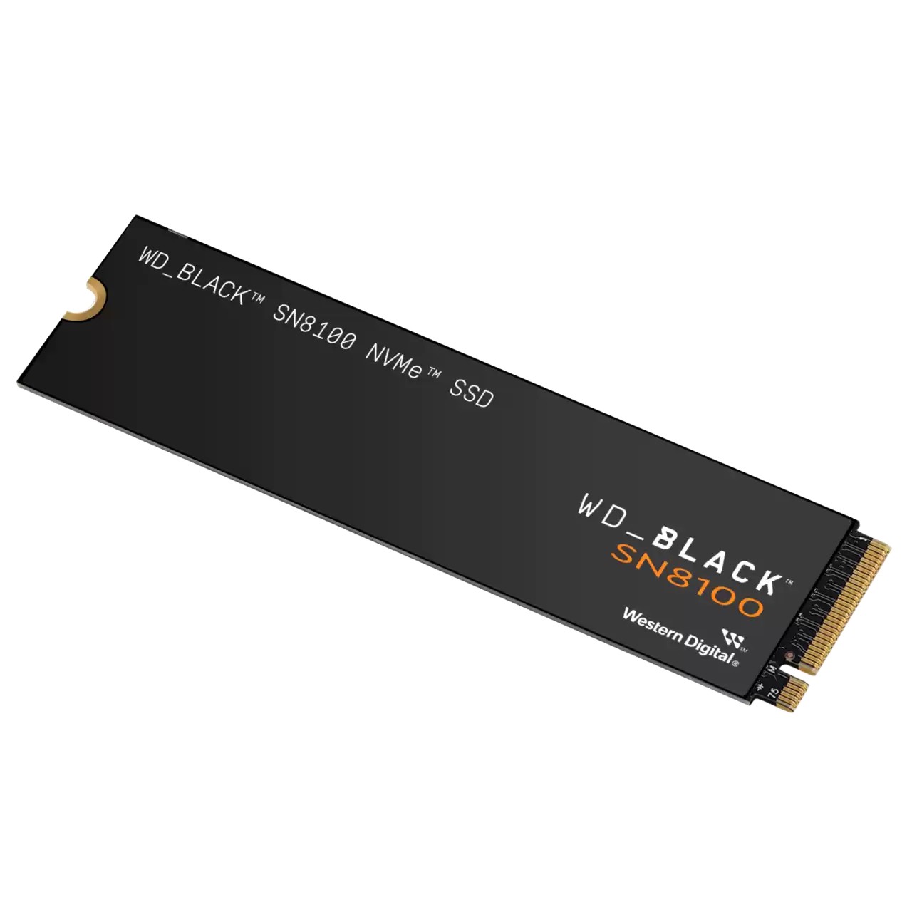 Western Digital Black WD_BLACK SN8100 NVMe SSD POWERED BY