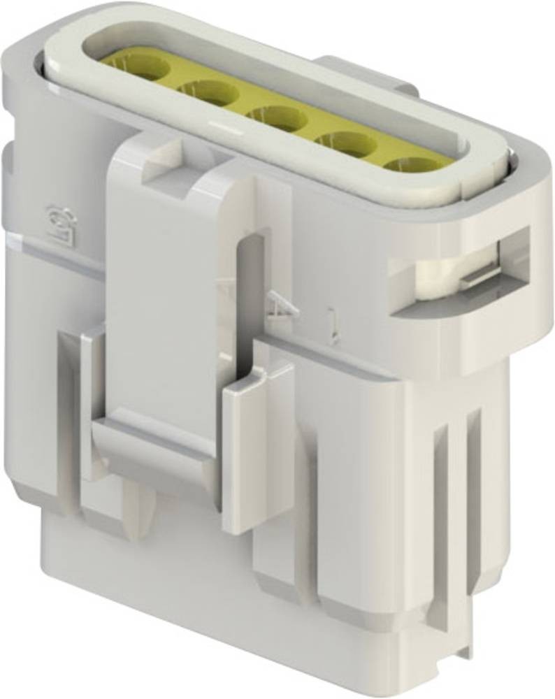 EDAC Buchsencasecavo 560 Polzahl Gesamt 5 Rastermaß: 2.50mm 560-005-