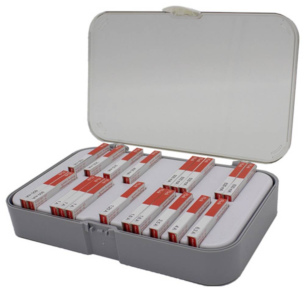 ESKA 520800 Sicherungs-Sortiment Inhalt 200St.