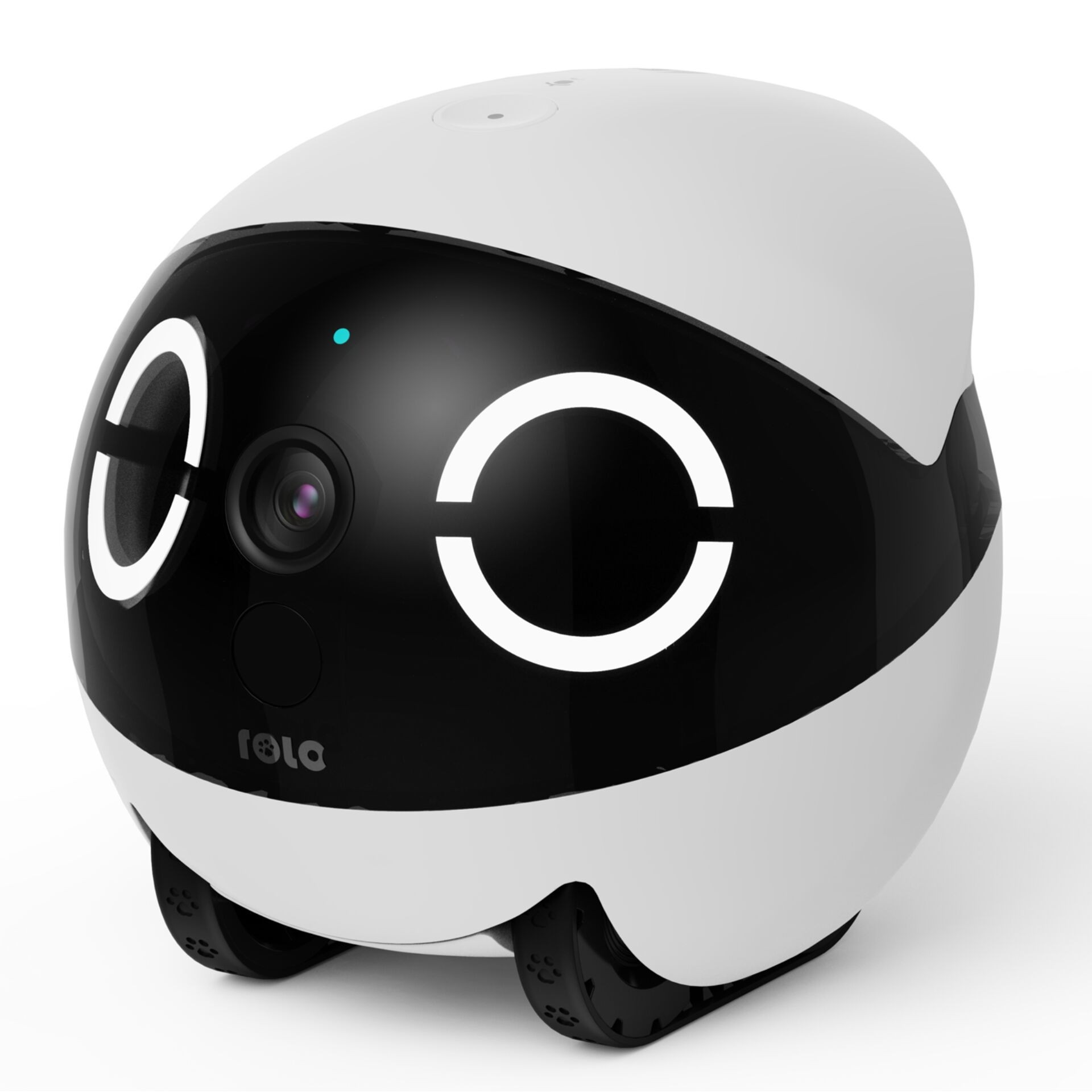 Enabot Rola Mini Pet Monitor - Enabot Rola Mini Pet Monitor, Robot,