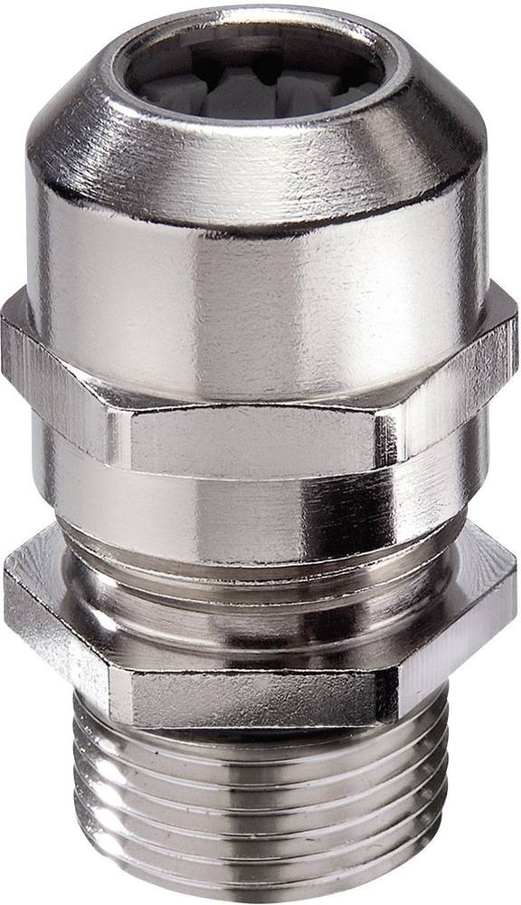 Wiska 10065010 Kabelverschraubung M20 Messing Messing 50 St.