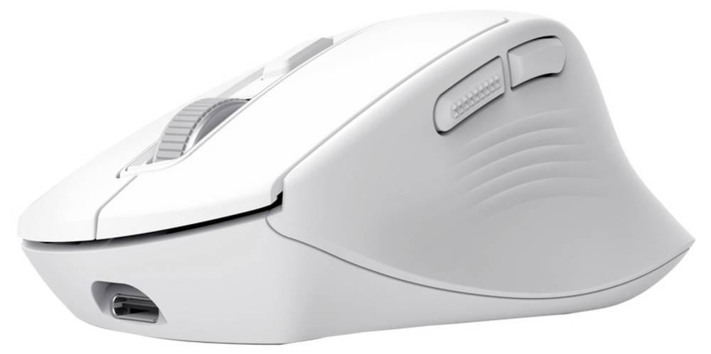 Trust Niven mouse Office Right-hand RF Wireless + Bluetooth 3200 DPI -