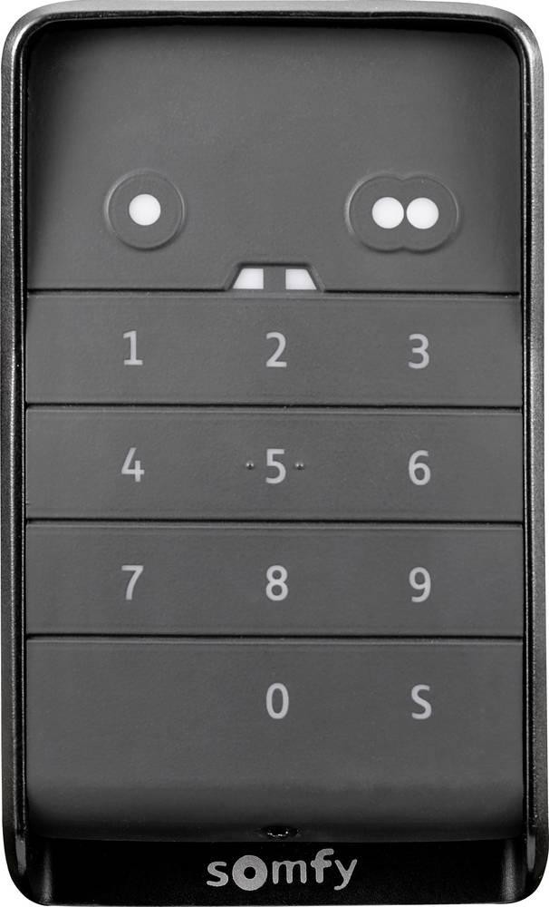 Somfy 1870929 Keypad 2 io IP55 868.3MHz, 868.95MHz Wand