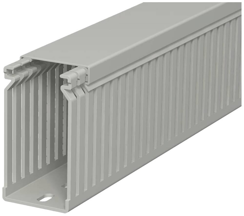 OBO Bettermann 6178052 Verdrahtungskanal (L x B x H) 2000 x 40 x 80mm