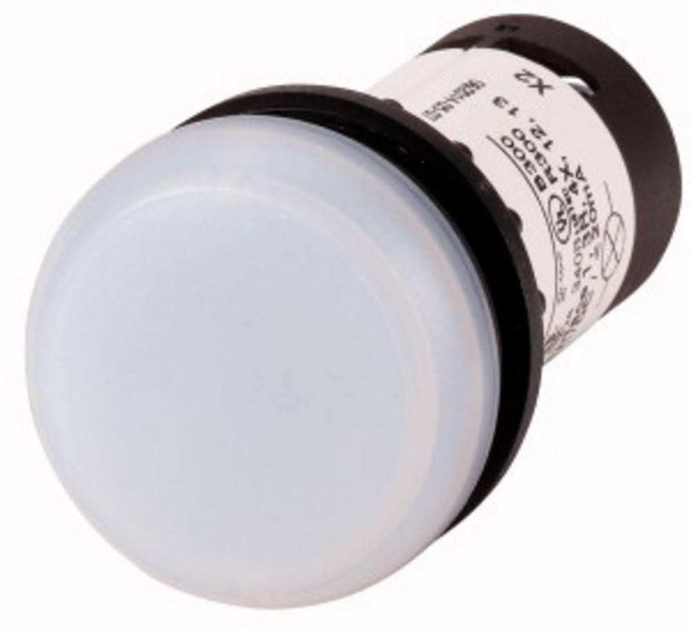 Eaton C22-L-W-120 Meldeleuchte flach white 120 V/AC 1 pc(s)