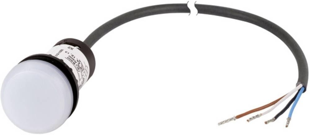 Eaton C22-L-W-24-P62 Meldeleuchte flach white 24 V DC/AC 1 St.