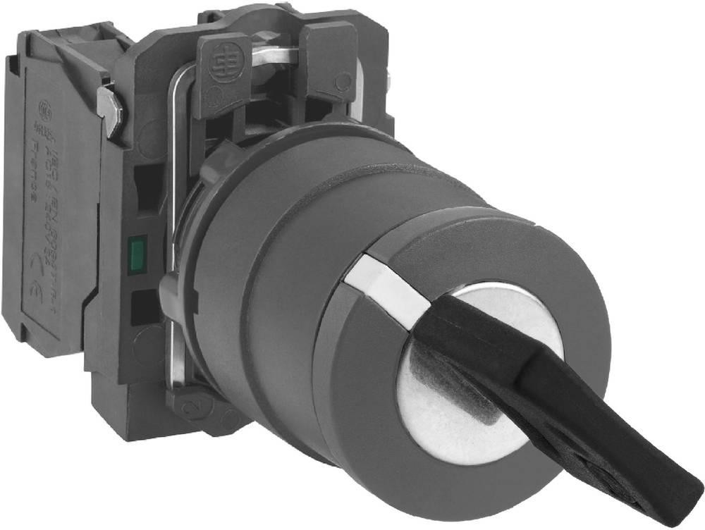 Schneider Electric XB5AG21 XB5AG21 Schlüsselschalter 1 St.