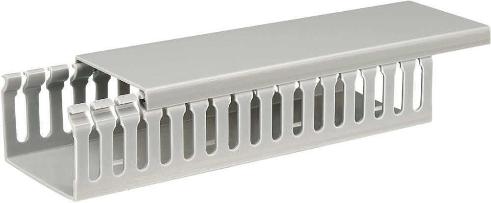 Sygonix SY-5045584 Verdrahtungskanal (L x B x H) 2000 x 65 x 45mm 1