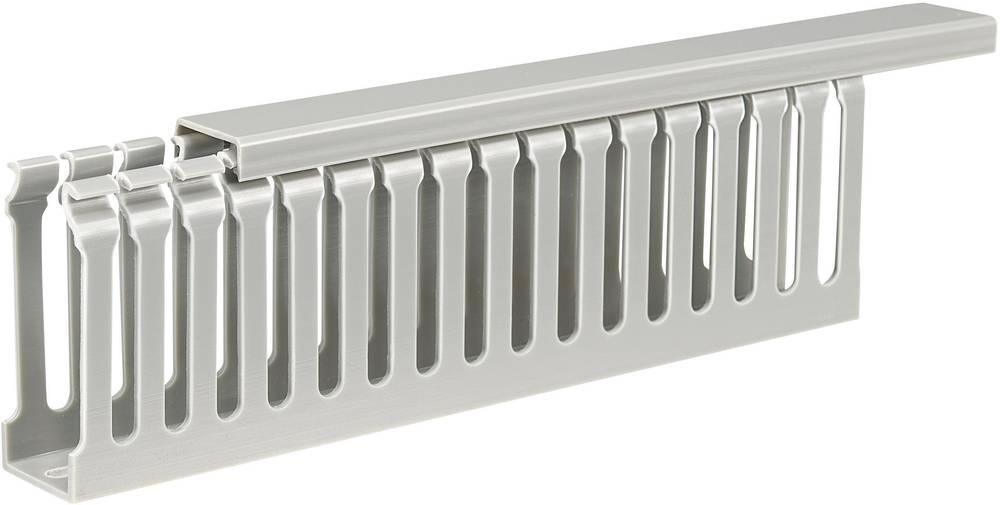 Sygonix SY-5045588 Verdrahtungskanal (L x B x H) 2000 x 25 x 65mm 1