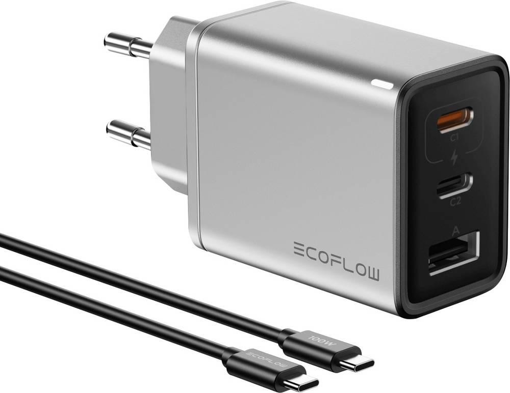 EcoFlow RAPID 65 W Universal Silver AC Fast charging Indoor - EcoFlow