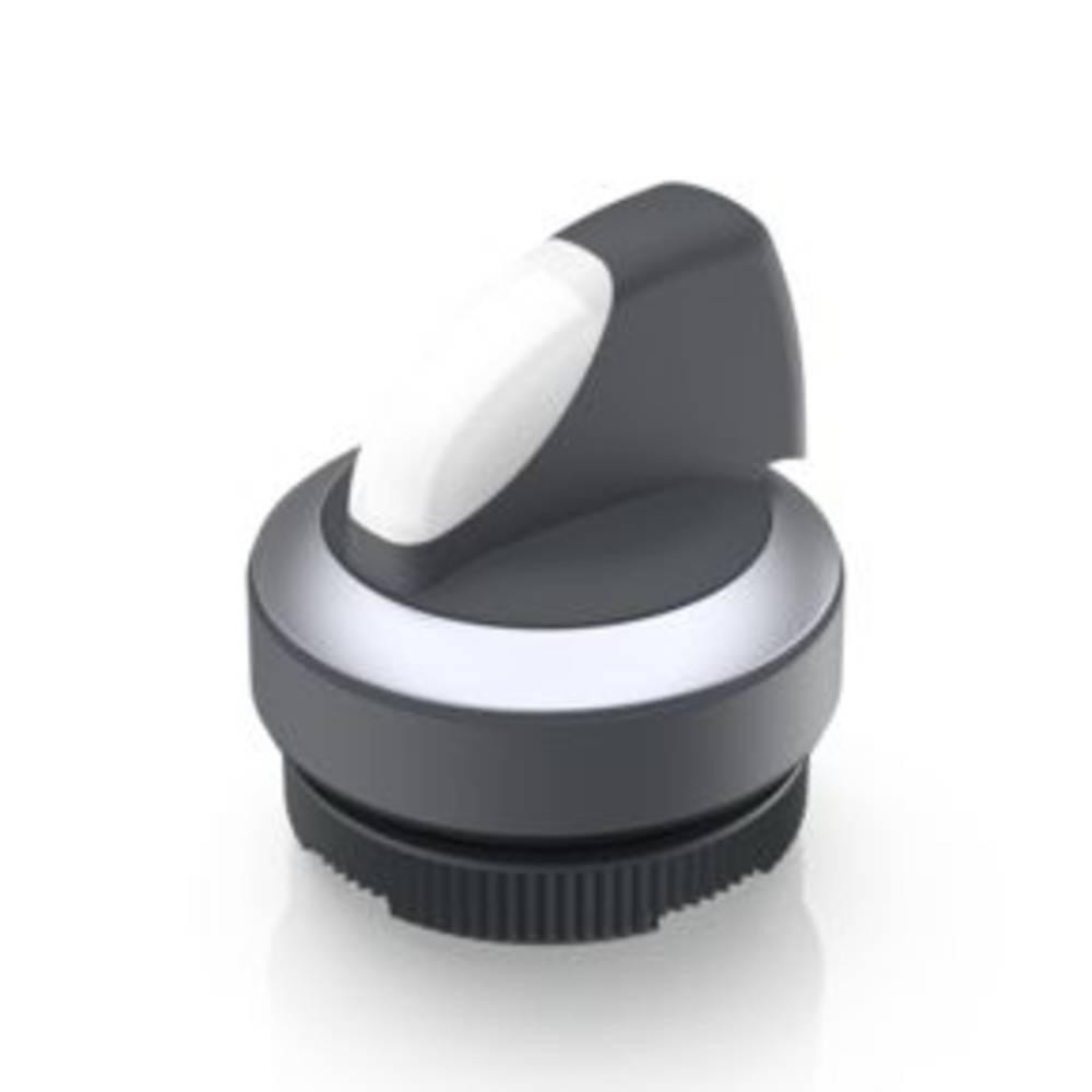 RAFI Handle Selector Switch - 22.3mm Cutout Diameter, Illuminated -