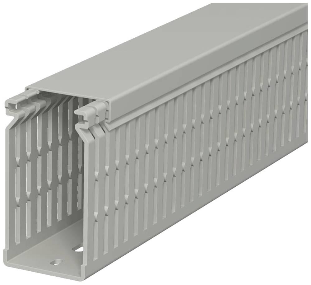 OBO Bettermann 6178227 Verdrahtungskanal (L x B x H) 2000 x 40 x 80mm