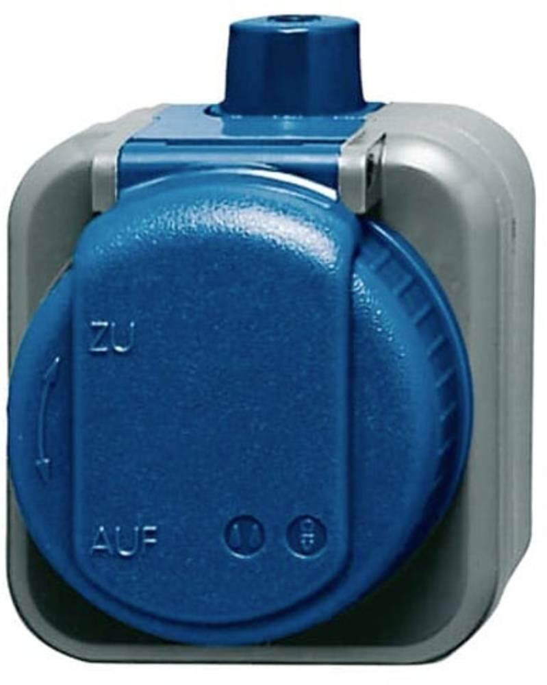 ABB 2CKA002083A0343 Schutzkontakt-Steckdose IP66 black, Enzianblau (
