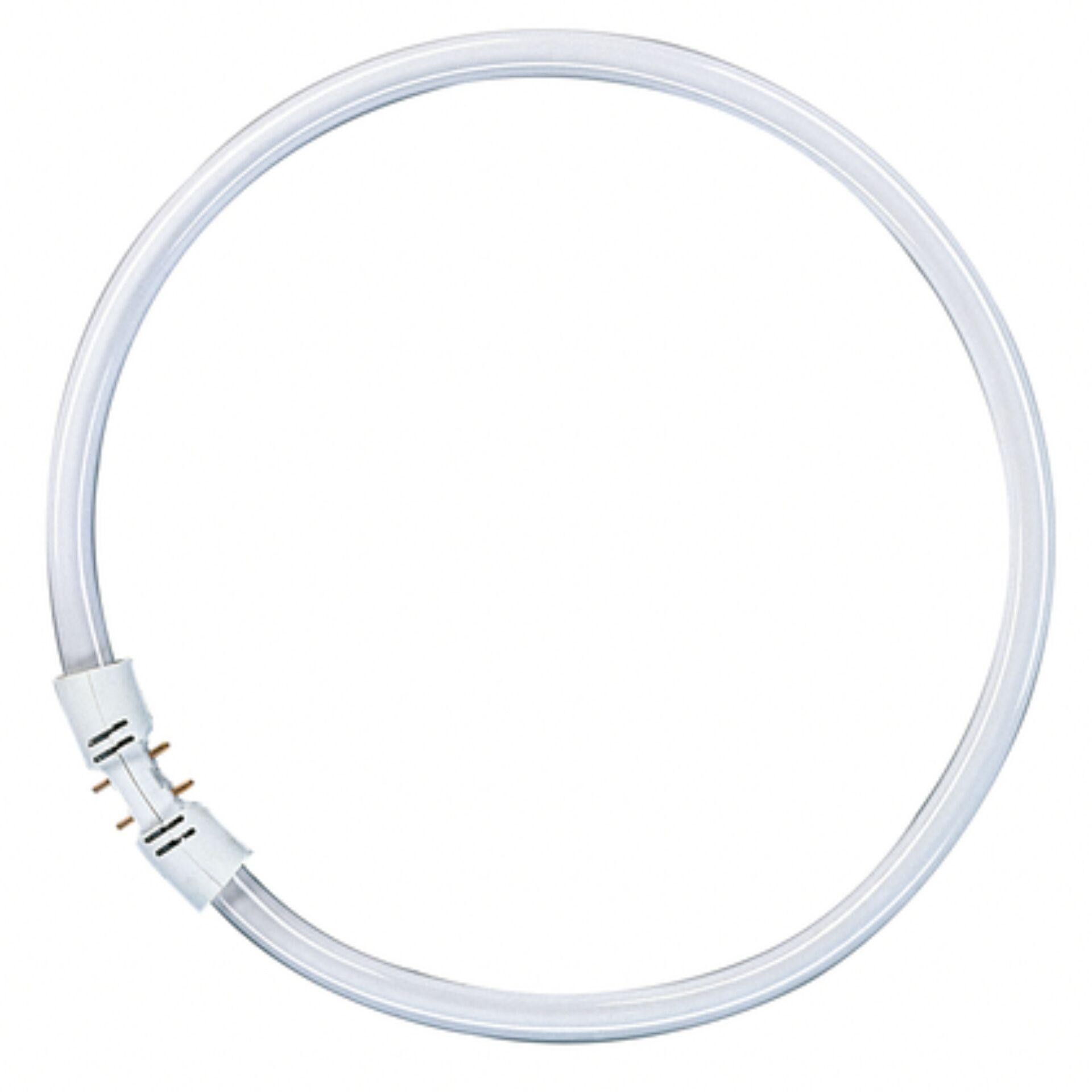 Osram Leuchtstoff Ringlampe T5 FC55W 865 2GX13 Circular