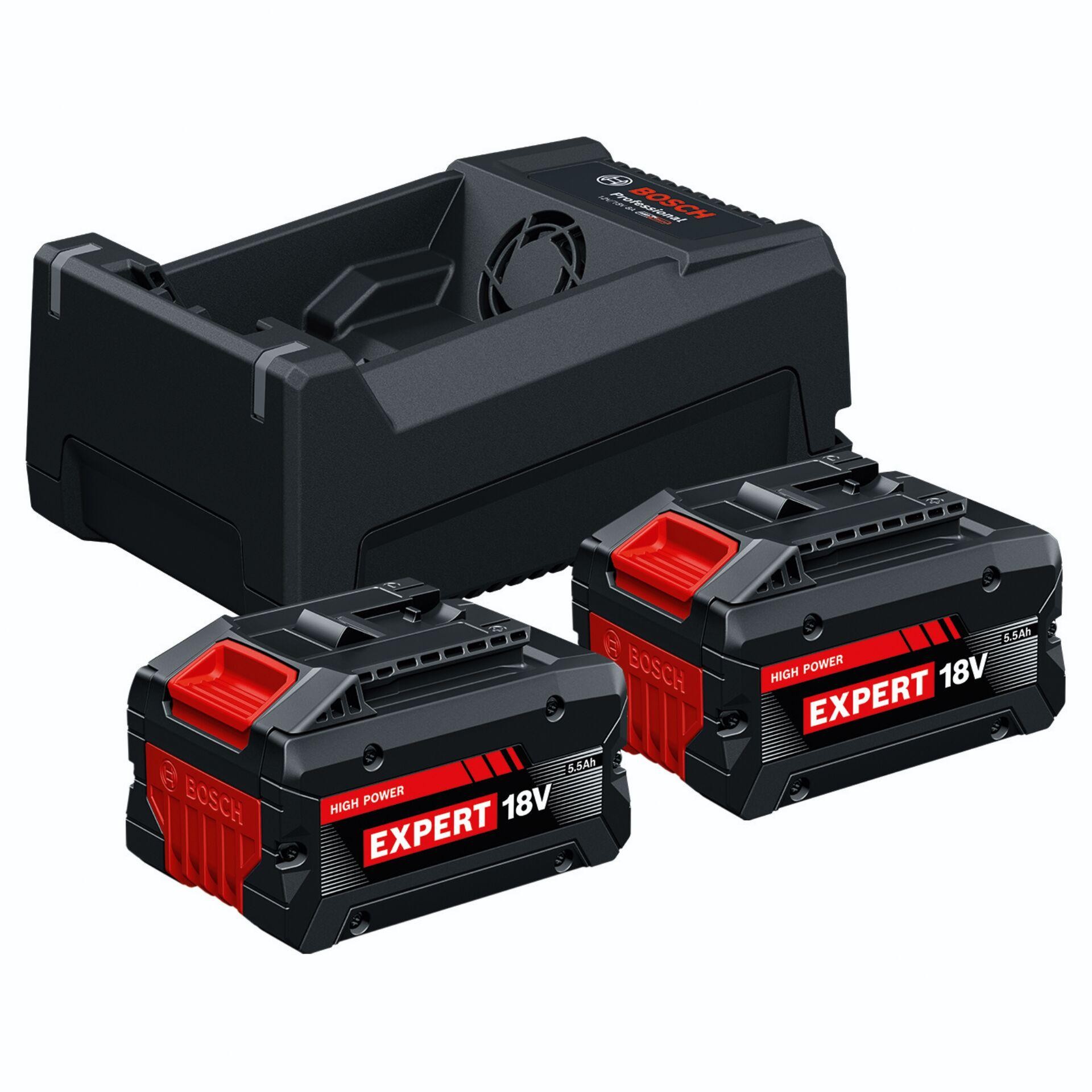 Bosch Professional 1600A0373P 2x EXBA18V-55 + GAL12V/18V-80 Werkzeug-