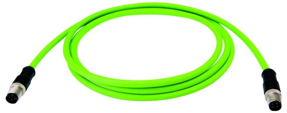Telegärtner 100017263 Verbindungsleitung Stecker 3m 1St.