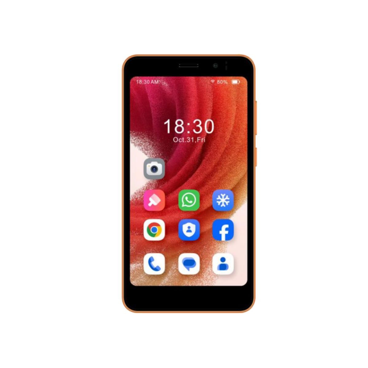 AGM Note N2 32GB 12,6 cm (4.96") Double SIM 3 Go 32 Go 3000 mAh