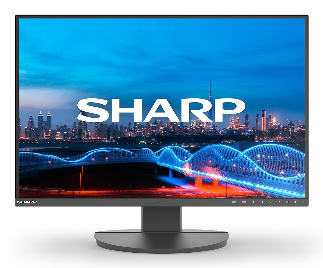 NEC MultiSync EA241W Full HD Display 61 cm (24")