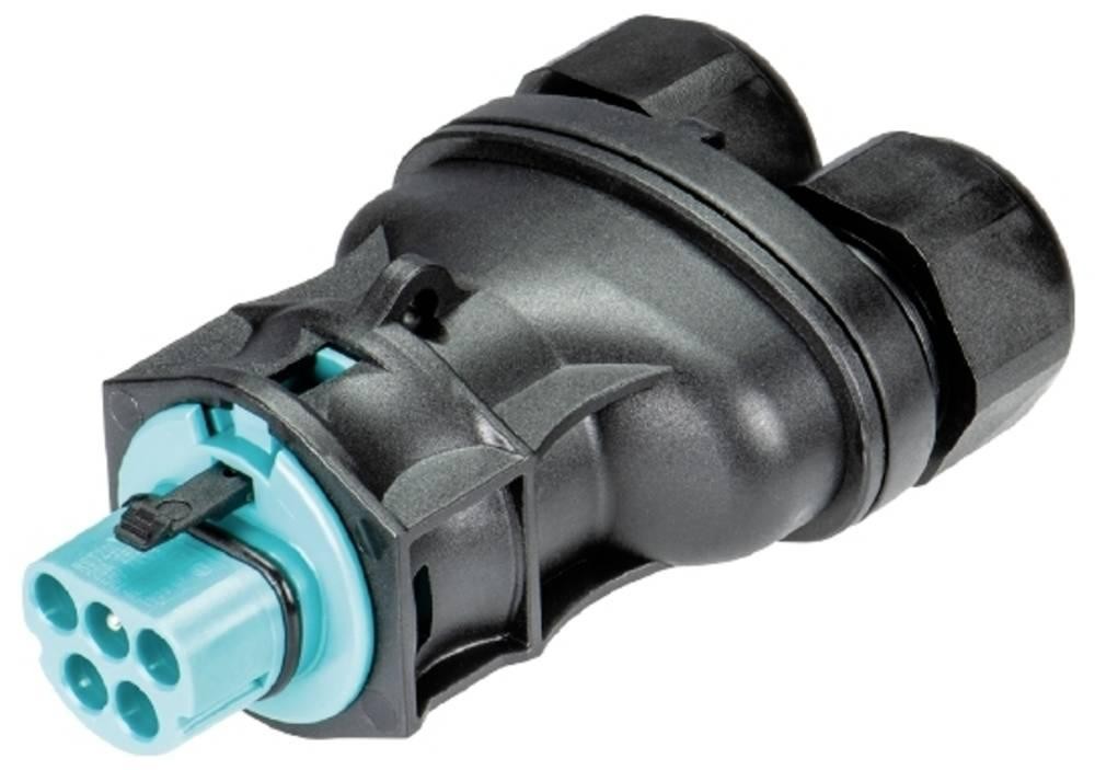 Wieland Electric 96.052.4353.6 Steckverbinder