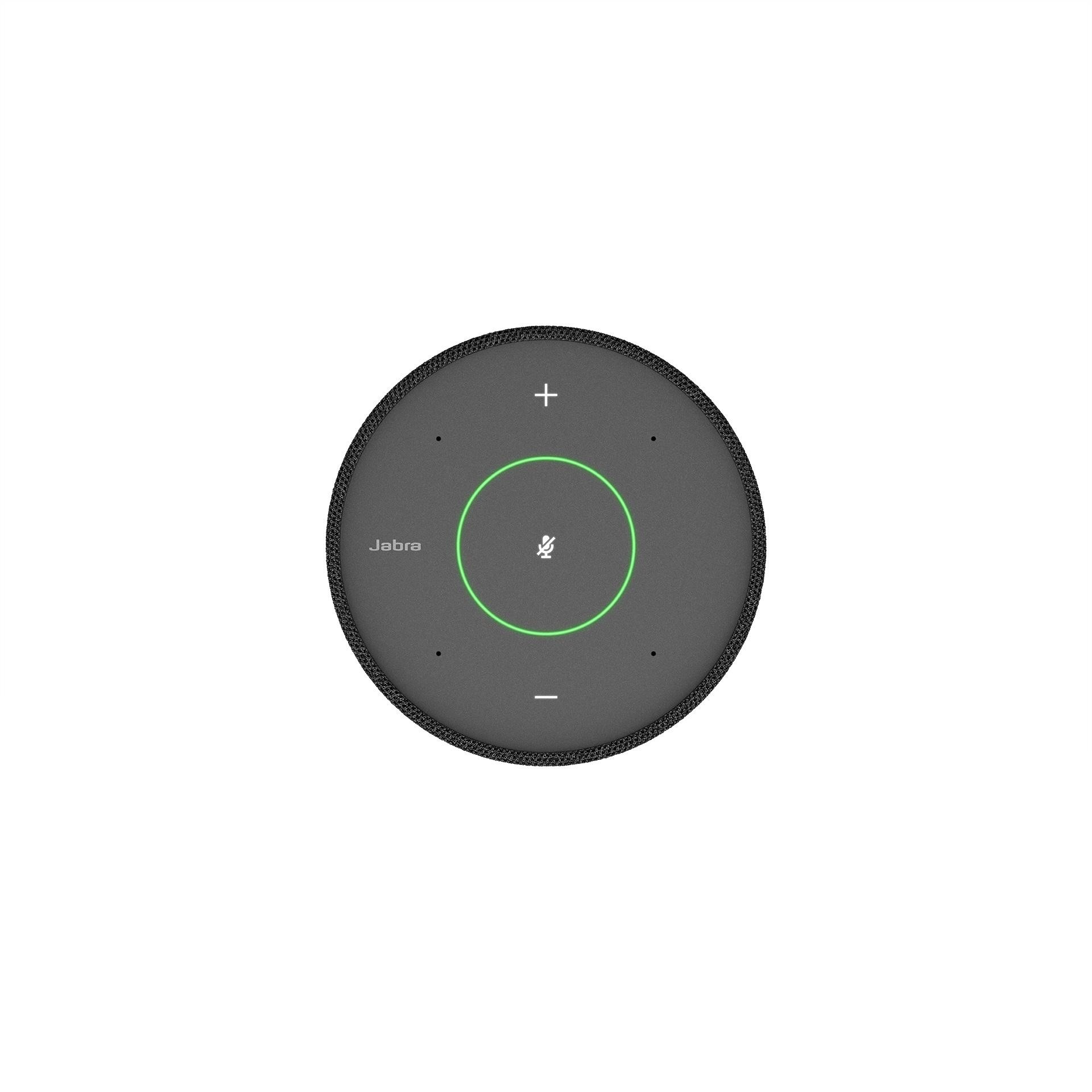 Jabra PanaCast SpeakerMic - Jabra PanaCast SpeakerMic, Group audio
