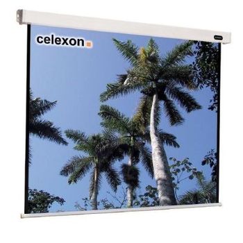Artikelbild des Artikels “Celexon Leinwand Motor Economy 240x240 Format 1:1 “