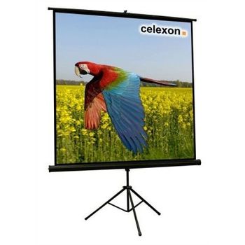 Artikelbild des Artikels “Celexon Economy 1:1 Tripod Screen 219 x 219 “