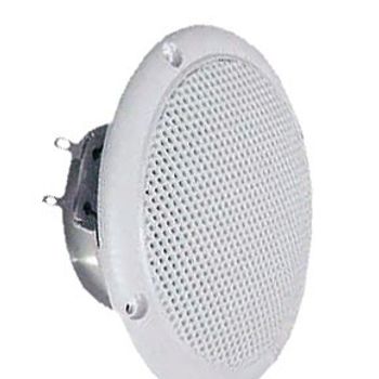 Artikelbild des Artikels “Visaton FR 10 WP - 4 Ohm 4 Zoll 10cm Breitbänder 20W 4Ω Weiß Seewasserbeständig “