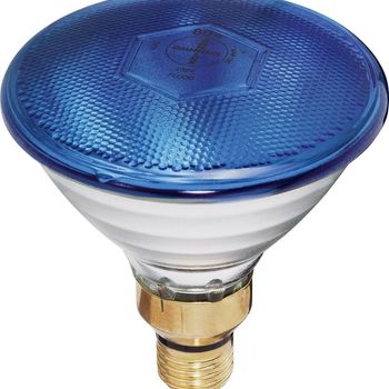 Product image of the product “Eurolite Par-38 FL blue Halogen Lichteffekt lamp 230V E27 80W blue dimmbar ”