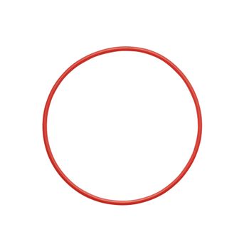 Artikelbild des Artikels “Olympus POL-050 O-Ring “