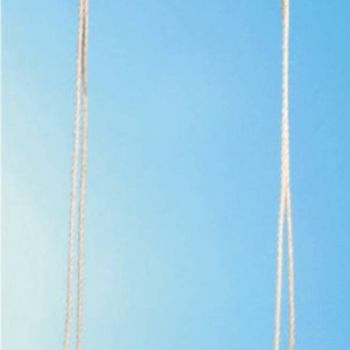 Artikelbild des Artikels “Vedes Brettschaukel Holz gebogen 50x15cm “