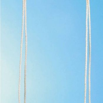 Artikelbild des Artikels “Vedes Brettschaukel Holz gerade 48x15cm “